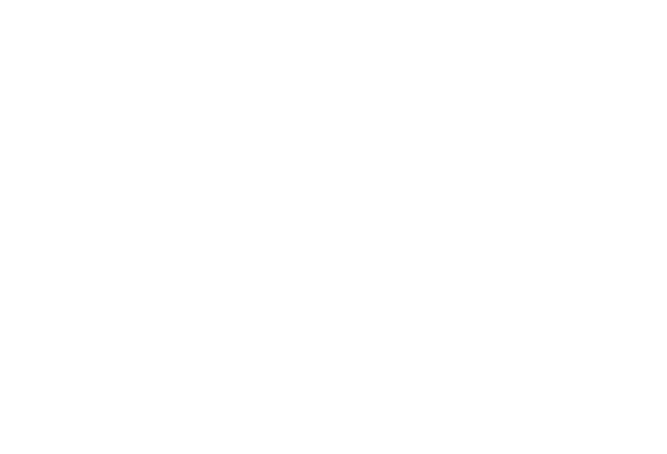 Bontempi Casa logo