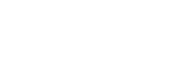 Fiam Italia logo