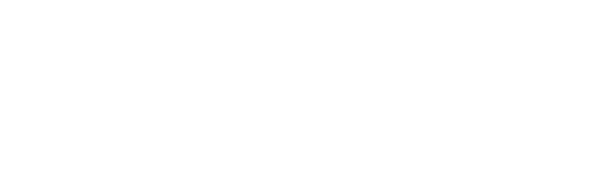 Fasem logo