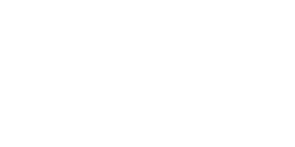 Loop and Co logo