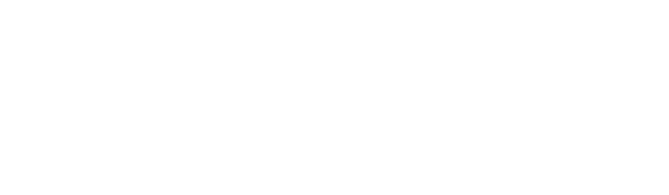 Valsecchi logo